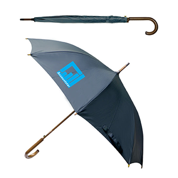 Parapluie d'affaires